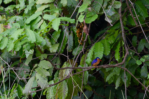 Duluti-See: Kanufahren, Naturwanderung und ExtraKajakfahren, Spaziergang in der Natur und Töpferkurs