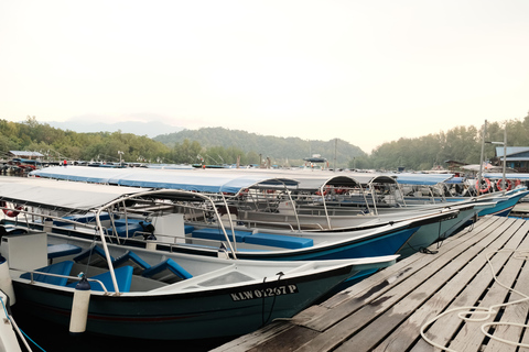Langkawi : visite privée de 2 heures dans la mangrove avec transfert depuis l&#039;hôtelGroupe de 6 personnes (par bateau)