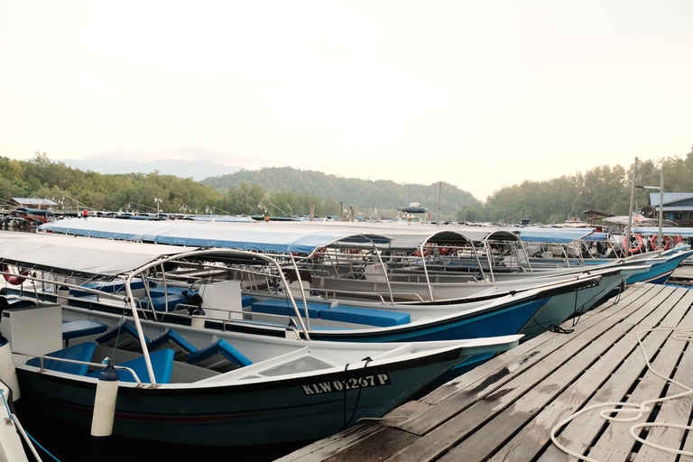 Langkawi : visite privée de 2 heures dans la mangrove avec transfert depuis l&#039;hôtelGroupe de 6 personnes (par bateau)