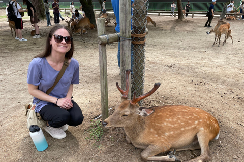 Nara: Halvdag med lokal guide – Big Buddha, hjort, helgedom, skogNara: Halvdag lokal guide- Stora Buddha, hjort, helgedom, skog