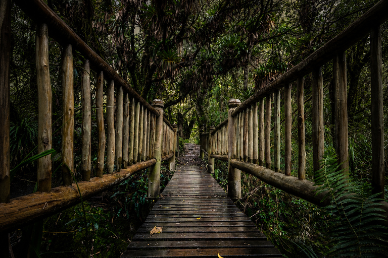 From Quito: Papallacta Trekking & Volcanic Hot Springs