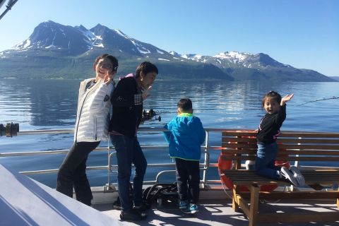 Ab Tromsø: Fjord-Bootsfahrt mit Mittagessen und Getränken