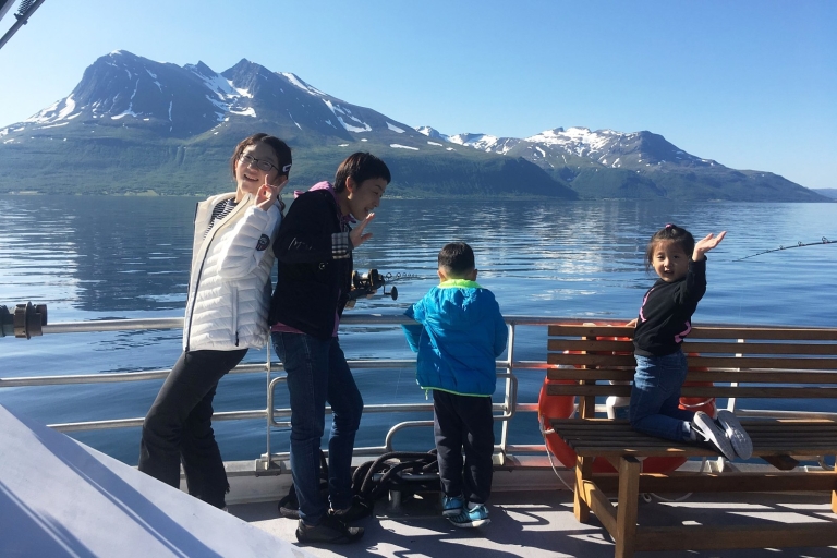 Tromsø: Rejs po fiordzie wśród dzikich ptaków z lunchem i napojamiTromsø: rejs po fiordach – dzikie ptaki, lunch i napoje