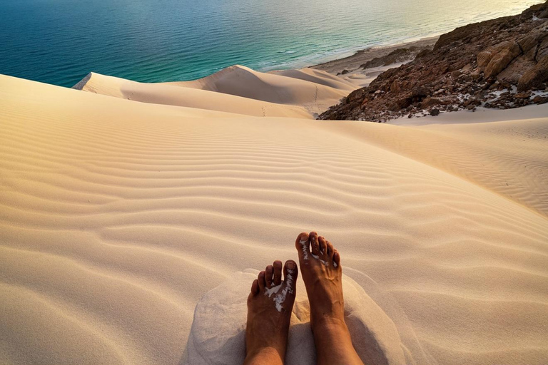 多哈：全地形车越野、沙漠/骆驼骑乘体验、滑沙和海景团体游（含酒店接送服务）