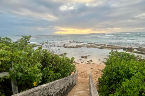 Au départ de San Juan : visite culinaire de la plage de Pinones et des barsAu départ de San Juan : excursion à la plage et aux bars de Pinones