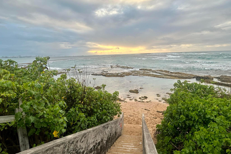 Au départ de San Juan : visite culinaire de la plage de Pinones et des barsAu départ de San Juan : excursion à la plage et aux bars de Pinones