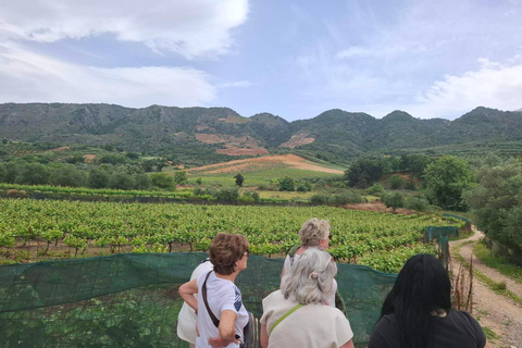 Chania Private Wine Tasting Tour & Theriso Village Visit Chania: Tour to Therisso Gorge, Village & Winery with Lunch"