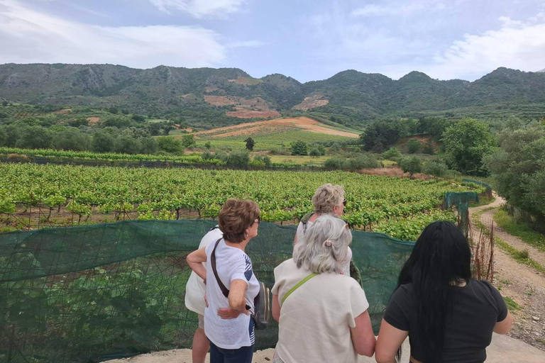 Chania Private Wine Tasting Tour & Theriso Village Visit Chania: Tour to Therisso Gorge, Village & Winery with Lunch"