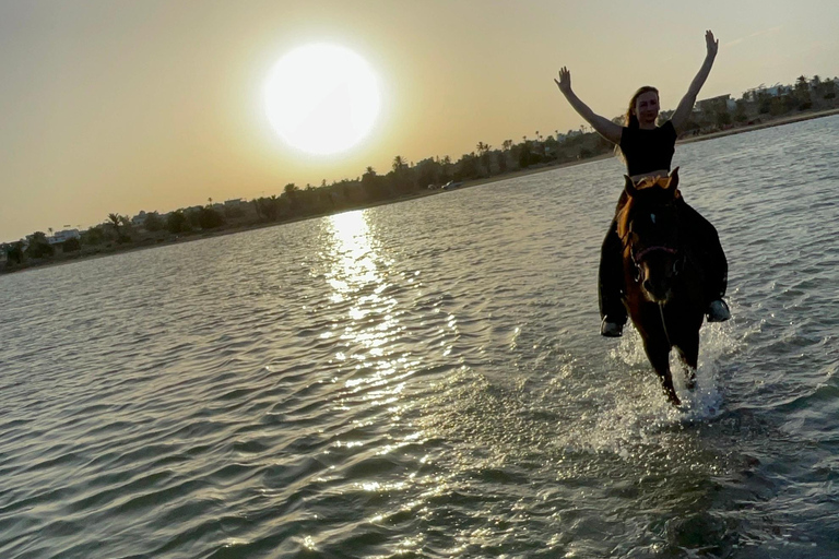 Djerba: Individual Horse Riding in the Blue Lagoon.