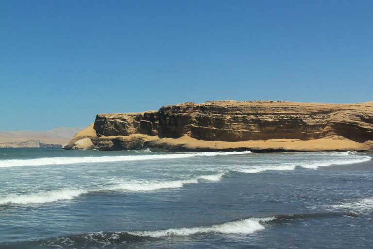 Paracas: Deluxe Road Trip through Natural Landscapes and Hidden Gems Paracas: Deluxe Road Trip through Natural Scenery and Hidden Gems