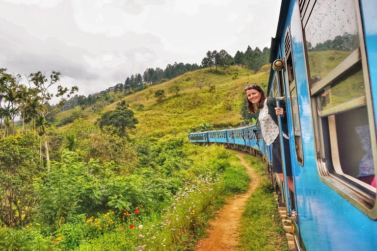 康提至努沃勒埃利耶观光列车电子票（含指定座位）康提至纳努瓦亚观光列车二等或三等车厢电子票