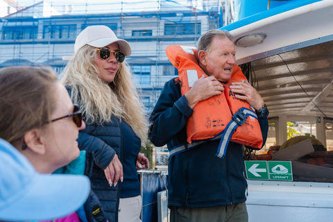 Gibraltar - Ultimate Rib Boat Experience