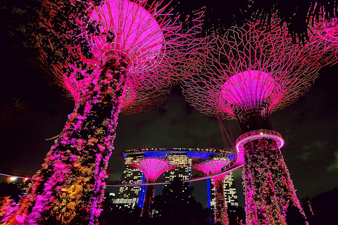 Singapore: Unravel Hidden Gems in a Private Customized Tour Private Customized Tour - 2 hours