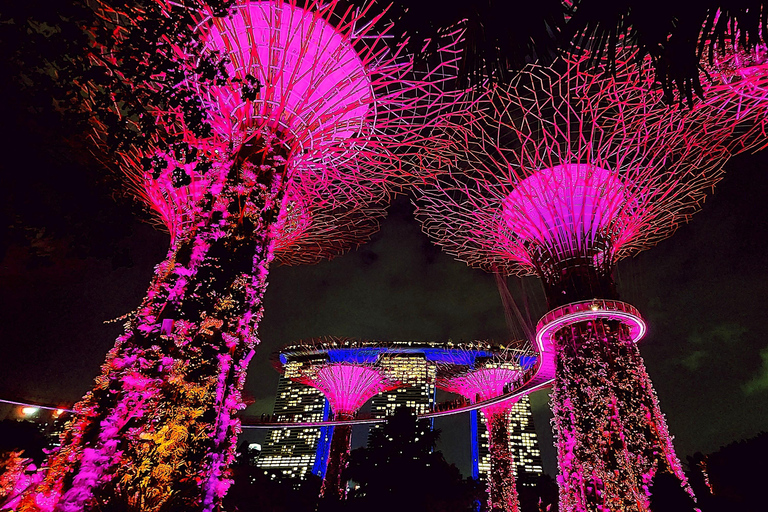 Singapore: Unravel Hidden Gems in a Private Customized Tour Private Customized Tour - 2 hours