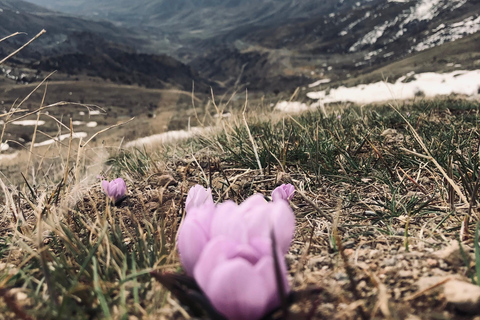 Yerevan: Mount Aragats South Summit Private Hiking Tour