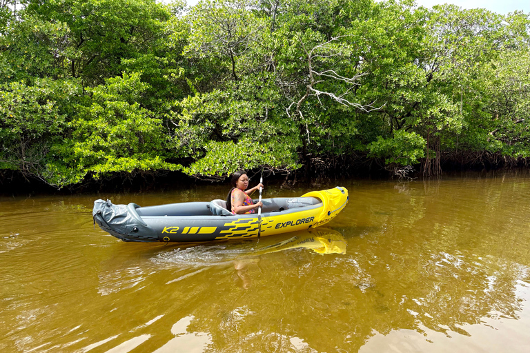 Fort Lauderdale: Kayak & Paddleboard Mangroves Eco Adventure