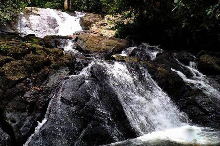 From Colombo: Seethawaka Gardens and Waterfall Day Trip
