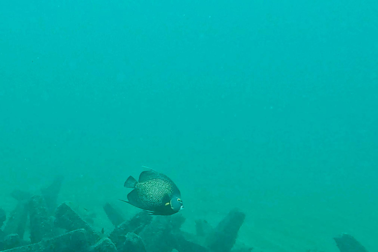 Ft Lauderdale: Combo Deal Snorkel Reefs, Kayak/SUP Mangroves