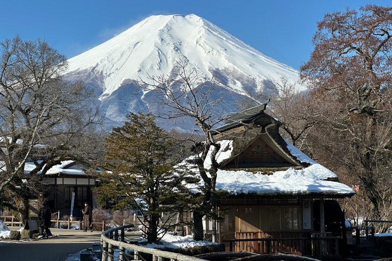 Mt Fuji Sightseeing Private tour with English Speaking Guide
