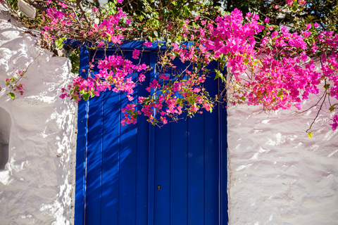 Desde la ciudad de Mykonos: tour turístico guiado con molinos de viento