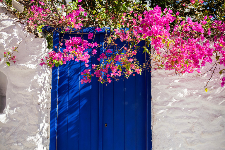 Desde la ciudad de Mykonos: tour turístico guiado con molinos de viento