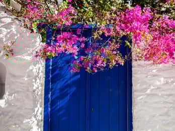 Au départ de la ville de Mykonos : visite touristique guidée avec les moulins à vent