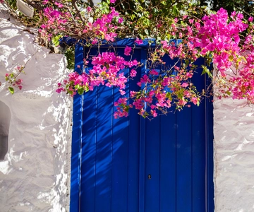 Dalla città di Mykonos: tour panoramico guidato con i mulini a vento