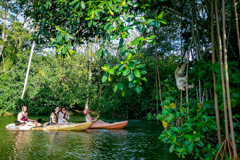 Tour del bradipo e del kayak