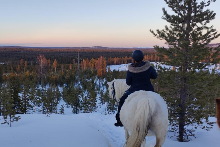 Rovaniemi: Winter Horseback Ride on Snowy Hills and Forests Winter Horseback Ride through the hills + transfer