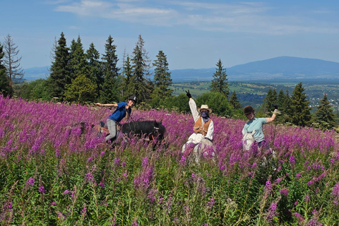 Zakopane: Tatra Mountains Horseback Ride & Thermal Baths