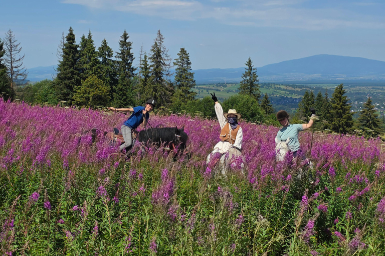Zakopane: Tatra Mountains Horseback Ride & Thermal Baths