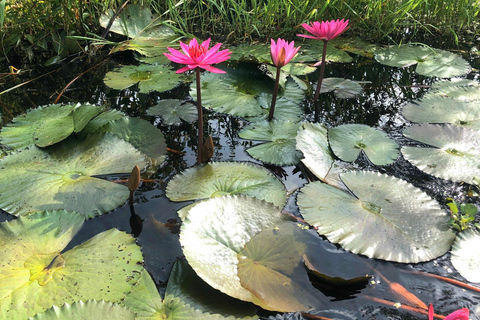 Desde Ciudad Ho Chi Minh: Excursión Ecológica de un Día al Pueblo Flotante de Tan Lap