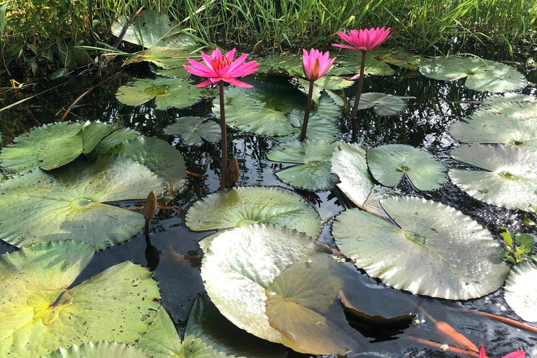 Desde Ciudad Ho Chi Minh: Excursión Ecológica de un Día al Pueblo Flotante de Tan Lap