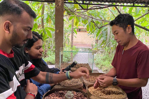 Ubud: Discover Hidden Waterfalls with Swing & Rice Terrace Private Tour with Entry Tickets