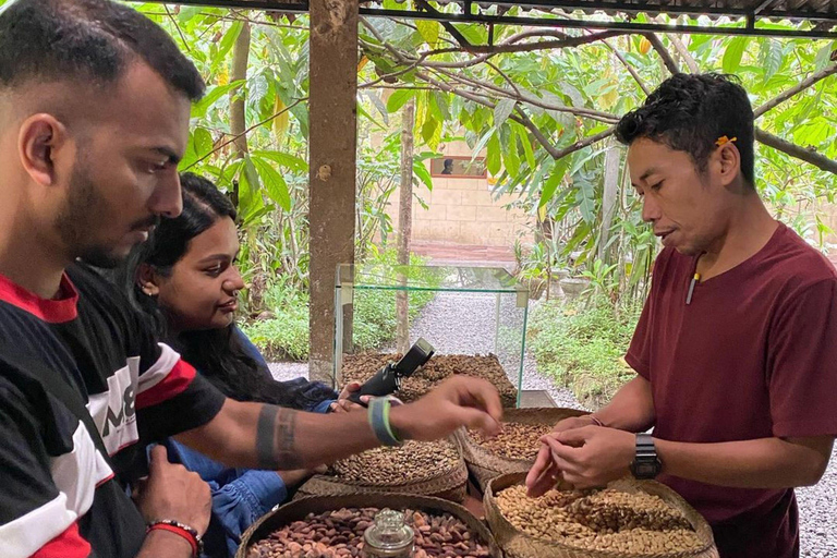 Ubud: Discover Hidden Waterfalls with Swing & Rice Terrace Private Tour with Entry Tickets