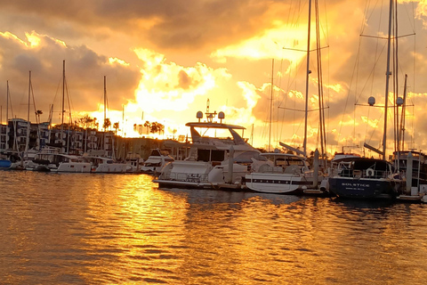 لوس أنجلوس رقم 1: رحلة بحرية فاخرة على متن قارب - نبيذ وجبن وأسود البحرجولة الفريق