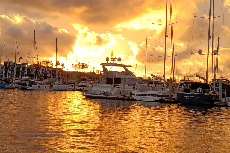 لوس أنجلوس رقم 1: رحلة بحرية فاخرة على متن قارب - نبيذ وجبن وأسود البحرجولة الفريق