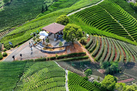 جولة شاي هانغتشو: القرى والبحيرات وتجربة الشاي المخفوقدليل للغة الإنجليزية والصينية