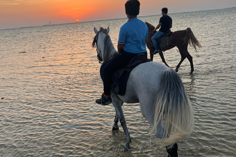 Horse Riding in Jeddah