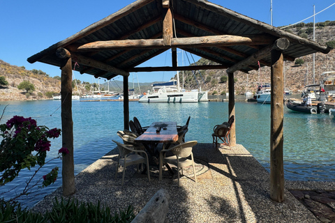 Bodrum: Private Catamaran Sailing Tour with Skipper