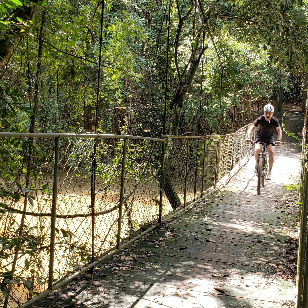 Colagem de mídia