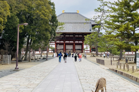 Desde Osaka/Kioto: Excursión de un día a Kioto y Nara con almuerzo japonésDesde Osaka, VIP Villa Namba (Cita a las 7:50AM)