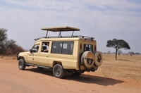 4 Days safari budget - Hizvo