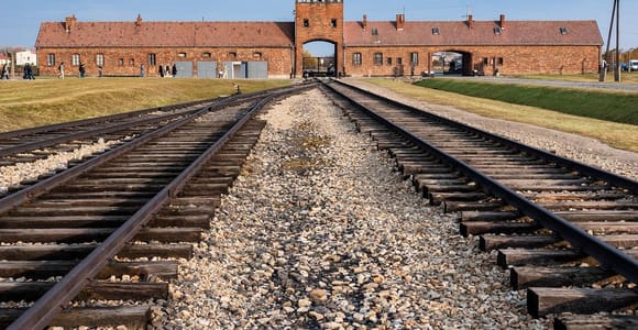 From Krakow: Auschwitz-Birkenau Memorial and Museum Tour