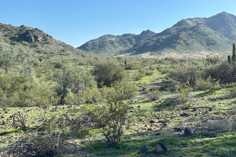 Phoenix: Guided Mountain Bike Adventure in Sonoran Desert 2-hour analog experience (Norco, Forbidden or Santa Cruz)