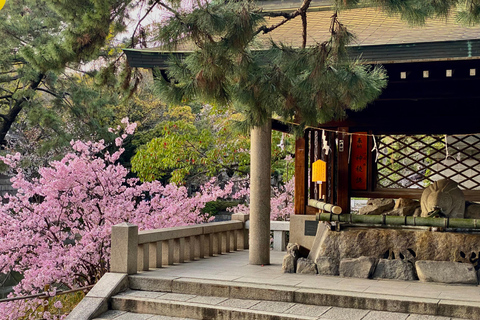 Osaka: Sumiyoshi Taisha, Sakai e tour della cerimonia del tèPranzo incluso