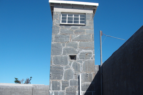Cape Town: Robben Island Museum Ferry & Guided Tour Robben Island Museum Ferry & Guided Tour – International