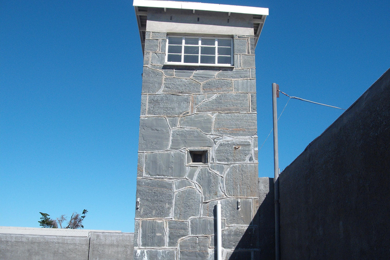 Cape Town: Robben Island Museum Ferry & Guided Tour Robben Island Museum Ferry & Guided Tour – International