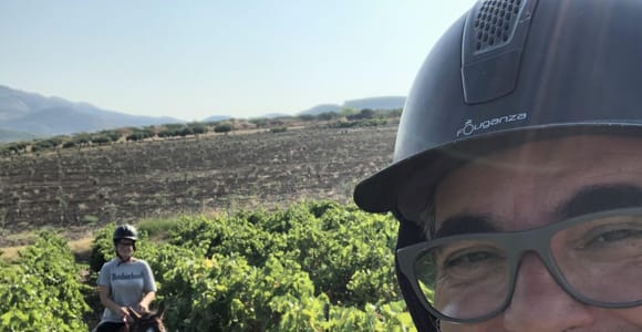 Horseback riding through the olive groves of Sciacca