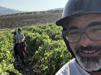 Horseback riding through the olive groves of Sciacca